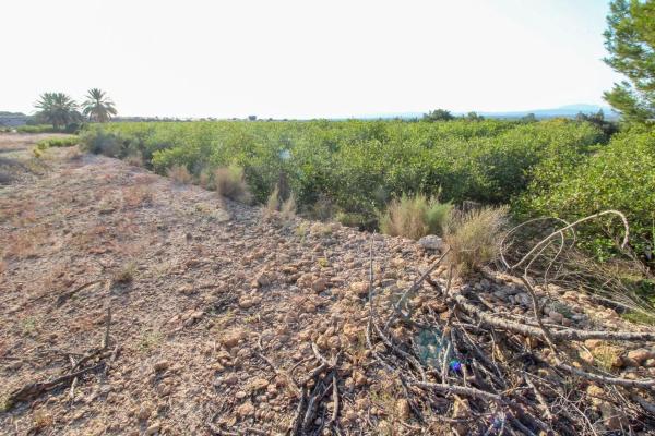 Terreno en Partida La Marina, 2029 a