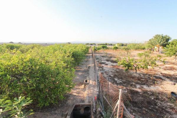 Terreno en Partida La Marina, 2029 a