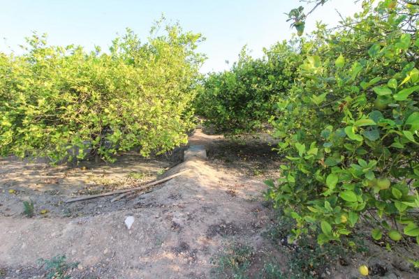 Terreno en Partida La Marina, 2029 a