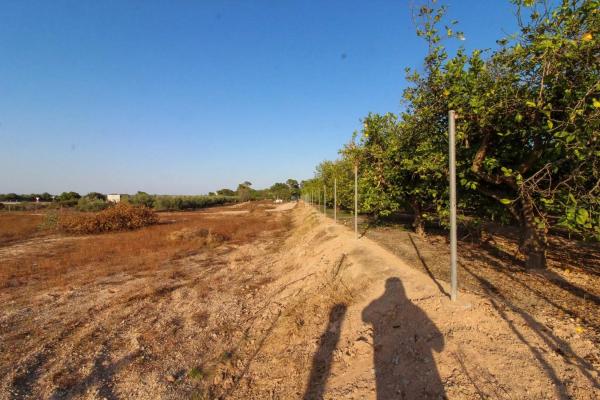 Terreno en Partida La Marina, 2029 a