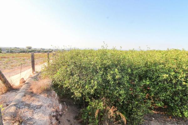 Terreno en Partida La Marina, 2029 a