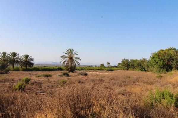 Terreno en Partida La Marina, 2029 a