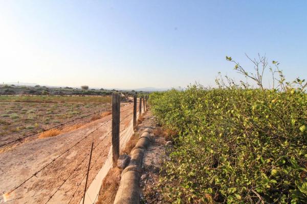Terreno en Partida La Marina, 2029 a