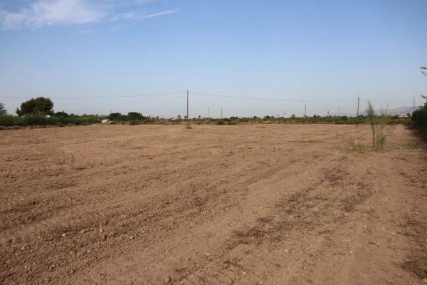 Terreno en Partida Perleta