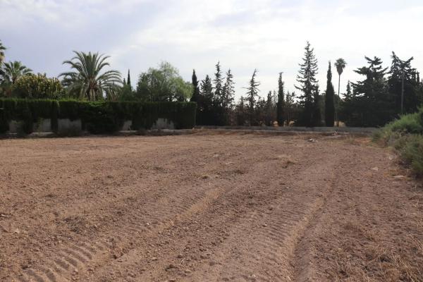 Terreno en Partida Perleta