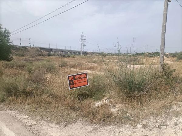 Terreno en camino de Crevillente a Catral, km 2
