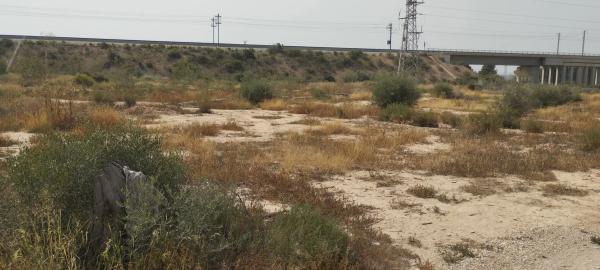 Terreno en camino de Crevillente a Catral, km 2