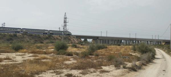 Terreno en camino de Crevillente a Catral, km 2