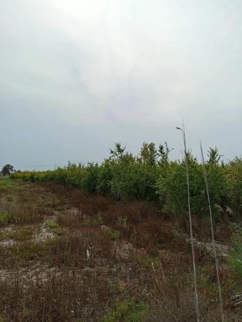 Terreno en Partida Derramador s/n