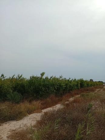 Terreno en Partida Derramador s/n