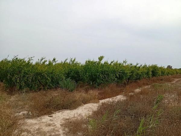 Terreno en Partida Derramador s/n