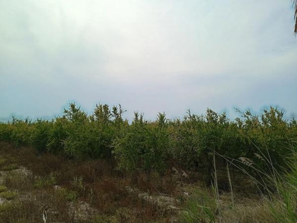 Terreno en Partida Derramador s/n