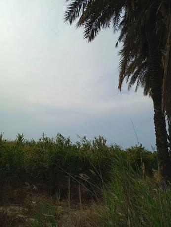 Terreno en Partida Derramador s/n