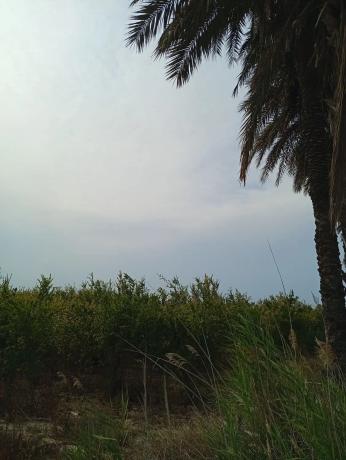 Terreno en Partida Derramador s/n