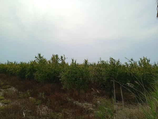 Terreno en Partida Derramador s/n