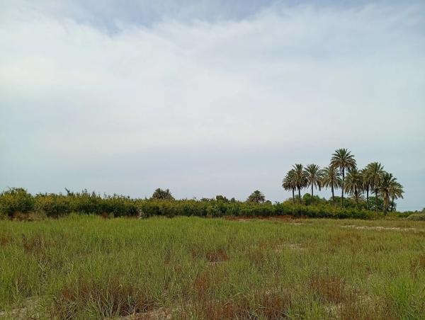 Terreno en Partida Derramador s/n