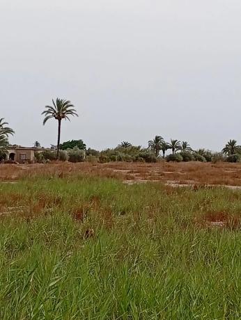 Terreno en Partida Derramador s/n