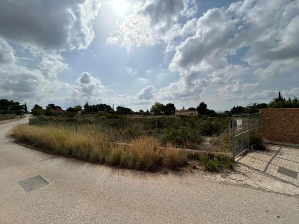 Terreno en Crevillente