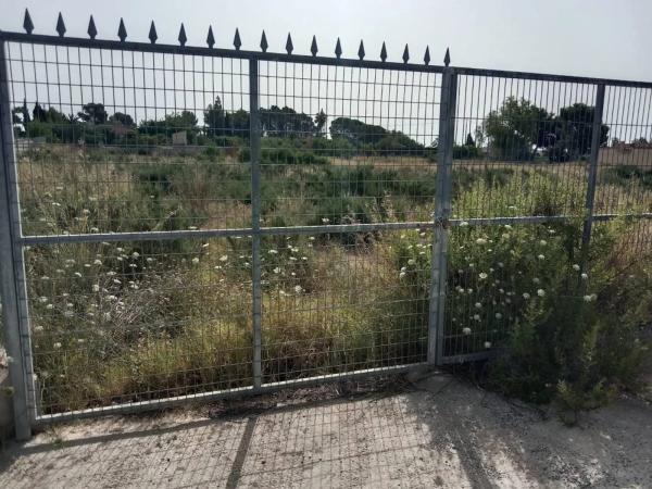 Terreno en Crevillente