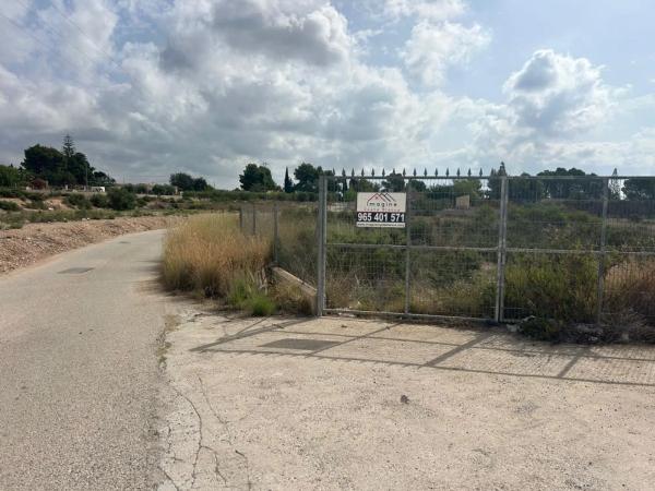 Terreno en Crevillente