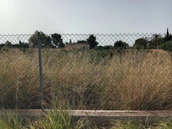 Terreno en Crevillente