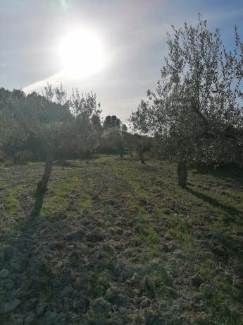 Terreno en trinquete s/n