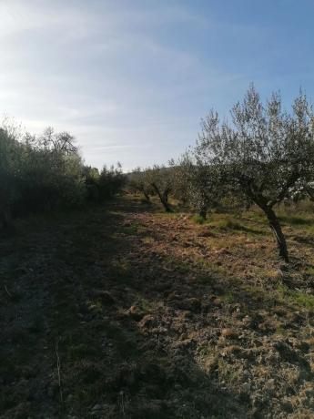 Terreno en trinquete s/n