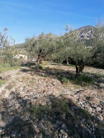 Terreno en trinquete s/n