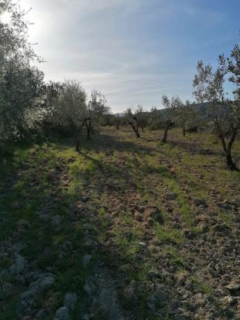 Terreno en trinquete s/n