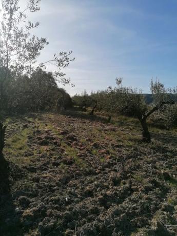 Terreno en trinquete s/n