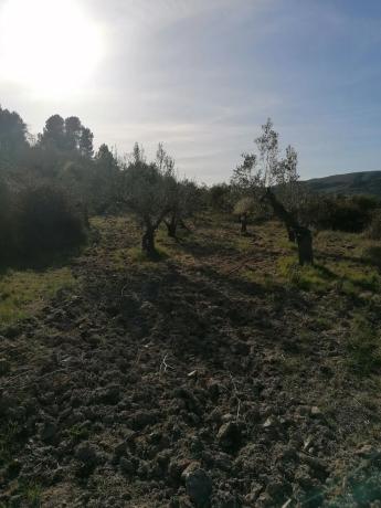 Terreno en trinquete s/n