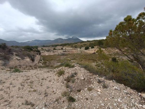 Terreno en Esquena del gos