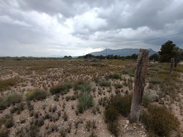 Terreno en Esquena del gos