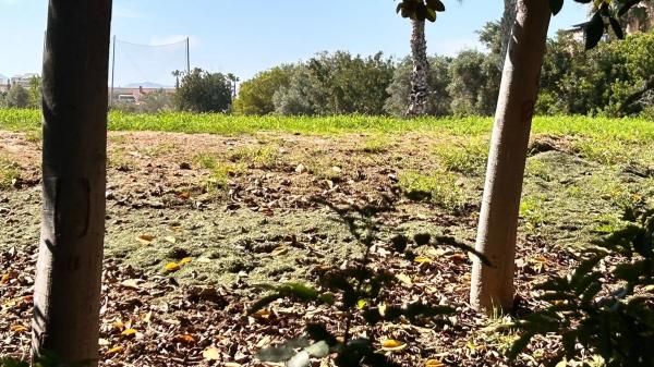 Terreno en Barrio Alicante Golf