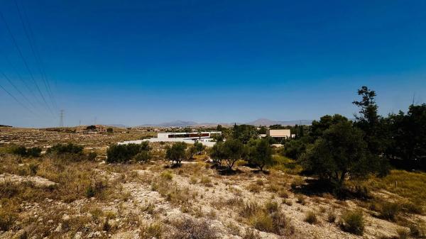 Terreno en calle Hinojo, 1
