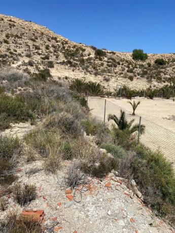 Terreno en calle Montíboli, 36