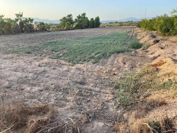 Terreno en calle San Vicente, 5