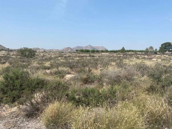 Terreno en camino Rio Ebro