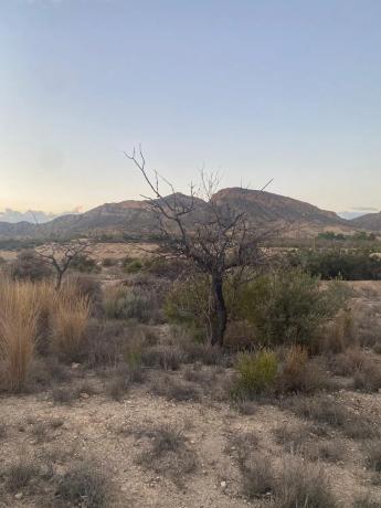 Terreno en La Alcoraya s/n
