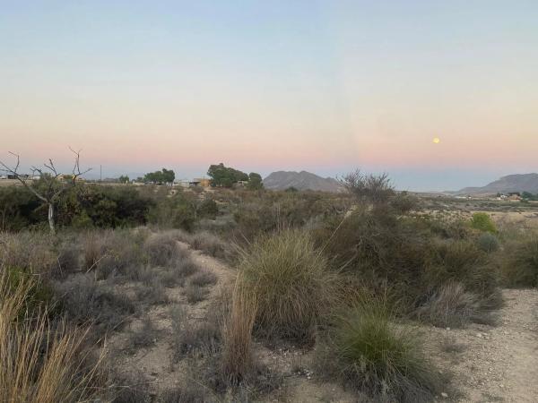 Terreno en La Alcoraya s/n