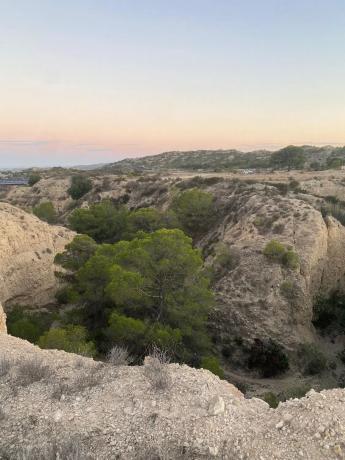 Terreno en La Alcoraya s/n