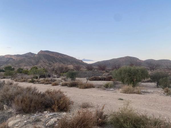 Terreno en La Alcoraya s/n