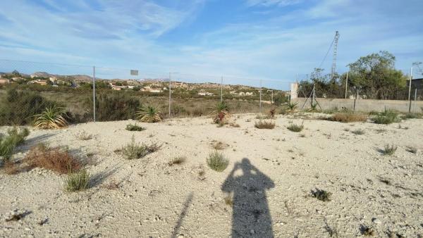 Terreno en Moralet s/n Moralet