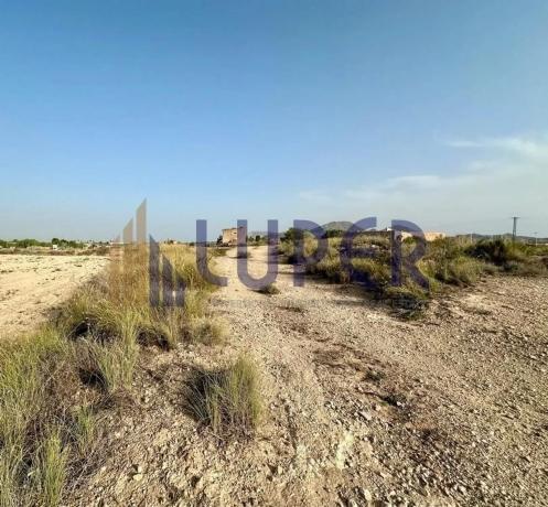 Terreno en Alcalde Felipe Mallol