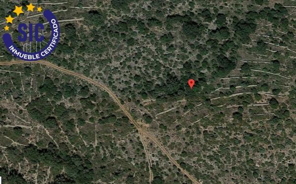 Terreno en Partida Solana, 196