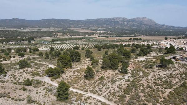 Terreno en calle Madrid
