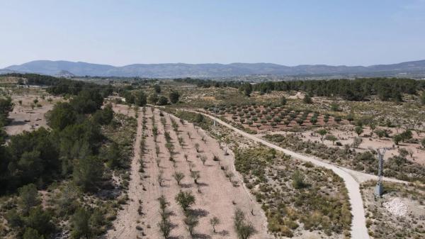 Terreno en calle Madrid