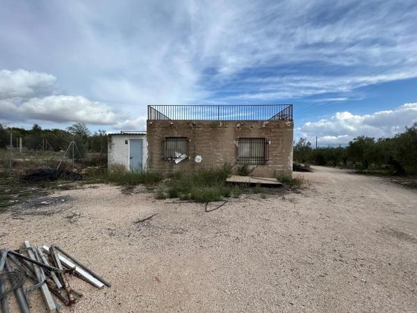 Terreno en camino de viñas
