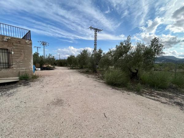 Terreno en camino de viñas