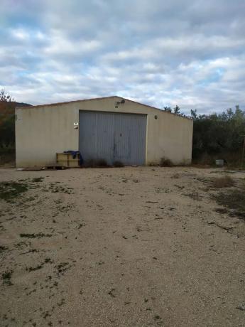 Terreno en camino de viñas